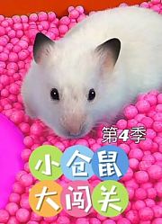 小仓鼠大闯关第4季