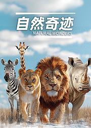 自然奇迹