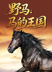 野马：马的王国