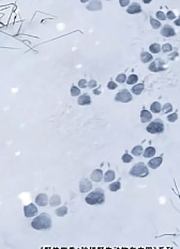 雪豹的冰封王国