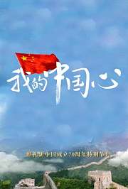 我的中国心
