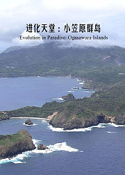 进化天堂：小笠原群岛
