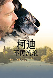 柯迪：不再流浪