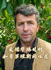 爱德华路贝特和普罗旺斯的味道