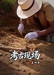 X档案·考古现场第4季
