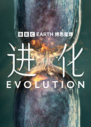 进化
