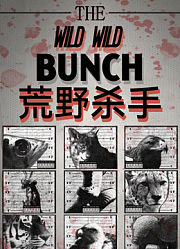 荒野杀手英文版