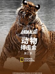 动物搏击会第3季