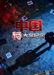 中国特大案纪实