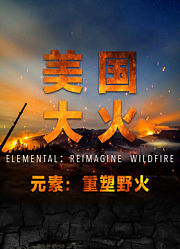 美国大火