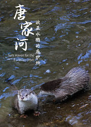 唐家河，欧亚水獭的庇护所
