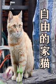 自由的家猫