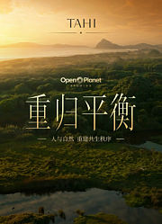 TAHI：重归平衡