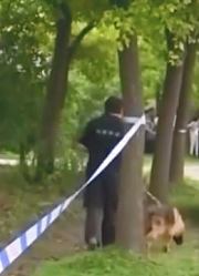 男子在外上班，突然接到妻女双双遇害的消息，赶到现场后他崩溃了