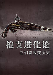 枪支进化论