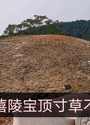 实拍慈禧定东陵，她的宝顶为什么寸草不生？最后一个逾制的皇后陵