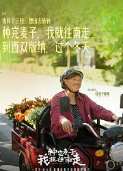 种完麦子我就往南走