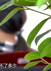 男子看到前妻另结新欢，心中怒不可遏，竟持刀杀害了她的男友