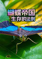 蝴蝶帝国：生存的法则-配音版