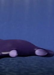 UFO猎手（六十七）：UFO不仅能上天还能下海