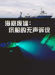 海底废墟：沉船的无声诉说