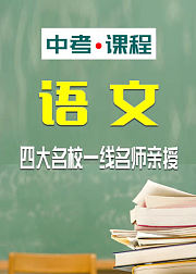 中考课程：语文（人教版）