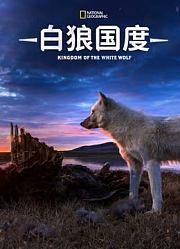 白狼国度第1季
