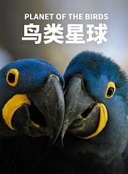 狗狗之家第2季