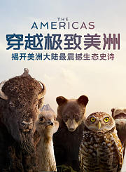 猪猪侠一只老猪的逆袭预告
