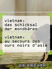 越南，拯救亚洲黑熊