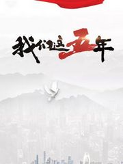 我们这五年