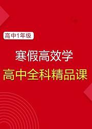 【学而思·爱智康】寒假精品课：高一全科