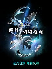 超凡动物奇观（中配版）