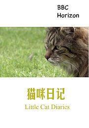猫咪日记