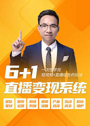 6+1直播变现系统课程