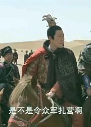 叛臣在荒漠之中竟然用苍鹰传递信号，发现了包护卫的踪迹，糟了
