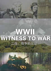 二战战争的见证