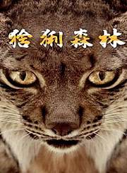 发现突尼斯