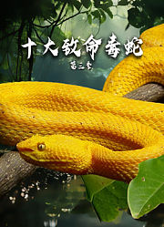 十大致命毒蛇第3季-配音版