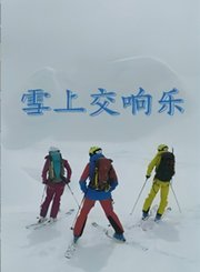 罗杰费德勒：冠军之路