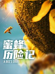 蜜蜂历险记