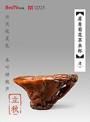 我在县城找国宝