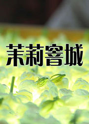 茉莉窨城