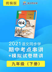 2021语文同步学统编版九年级下册期中考点