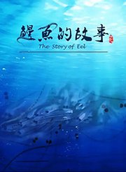 二年级科学教科上