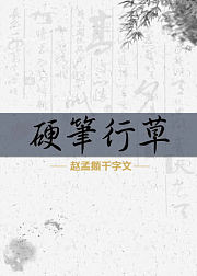 硬笔行草，赵孟頫千字文