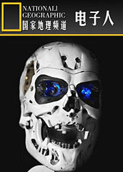 电子人