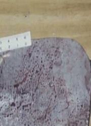 新闻斗阵讲