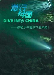 潜行中国