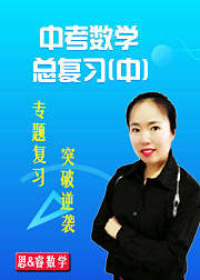 中考数学总复习（中）